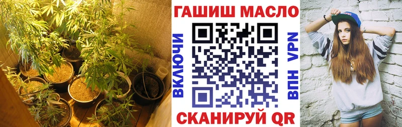 ТГК концентрат продажа наркотиков Северодвинск